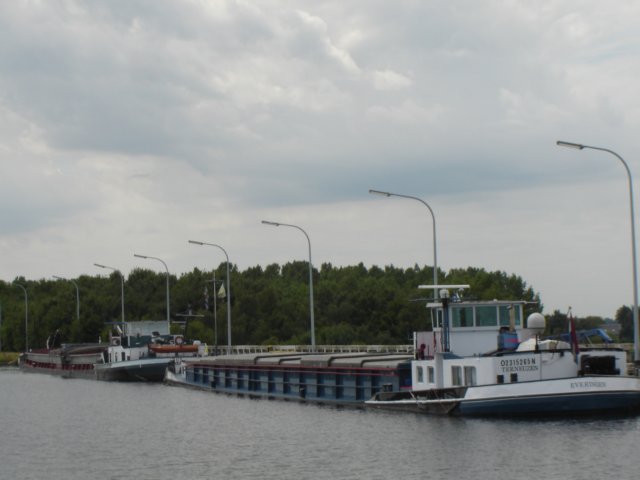 dsc05689.jpg