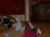 hpim4054_small.jpg